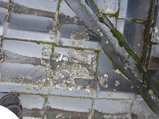 リビング亀沢で屋根外壁塗装できます！湧水町　霧島市　伊佐市　姶良市　えびの市で営業中!